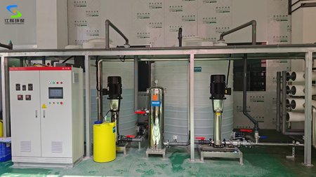 15吨双级反渗透EDI超纯水设备